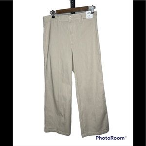 NWT J Crew Striped Pants